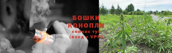 сатива Михайловка