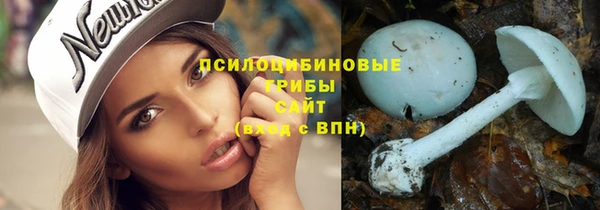 сатива Михайловка