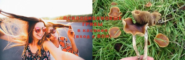прущая мука Михайлов