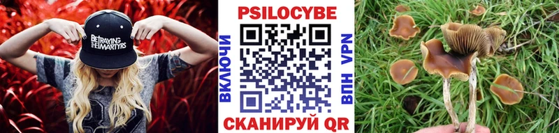 Псилоцибиновые грибы Psilocybe  Ярцево 