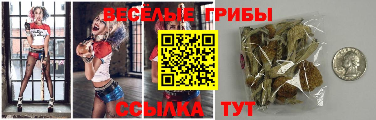 Галлюциногенные грибы Cubensis Ярцево